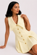 Contrast Collar Pastel Pleated Mini Dress