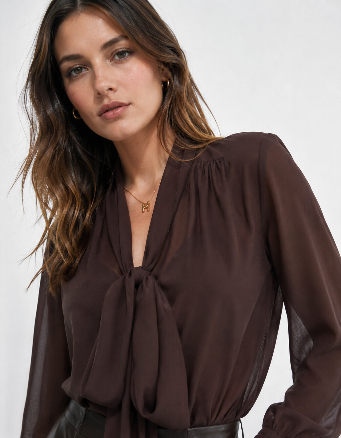 Sheer Tie-Neck Blouse